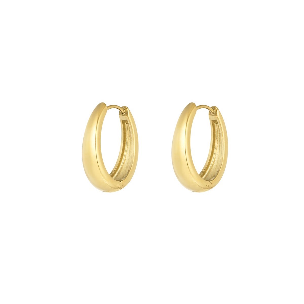 Oorbellen hoops | goud L