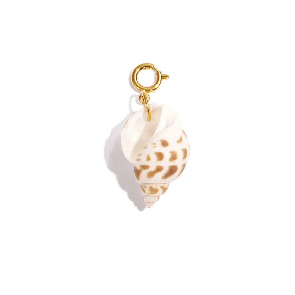 Bedel shell | goud