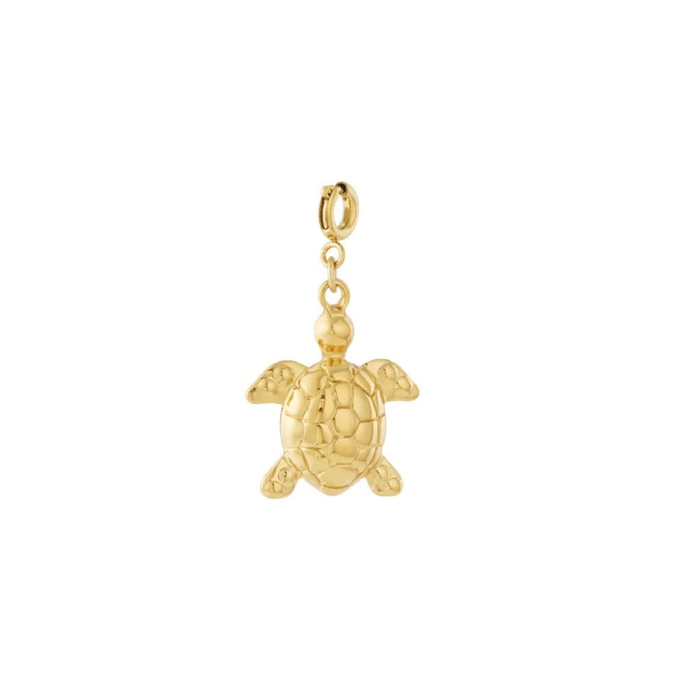 Bedel turtle | goud