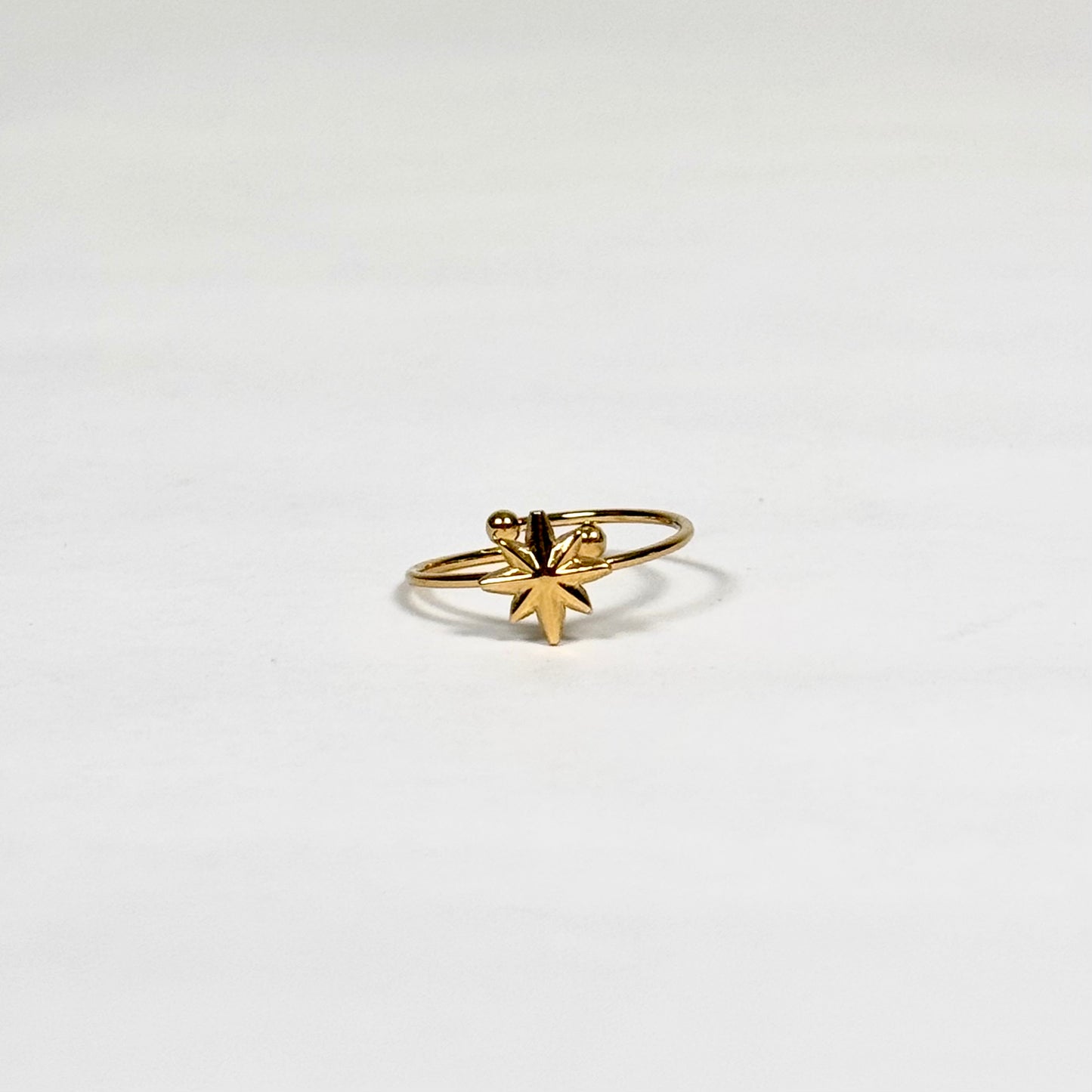 Ring noé | goud